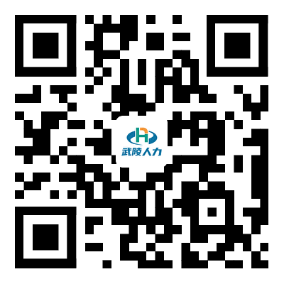 “武陵人力”人才網二維碼